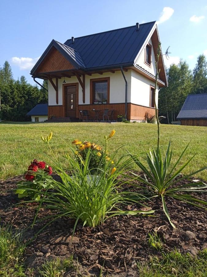 Siedlisko Czarny Dzieciol Apartment Narewka Exterior foto
